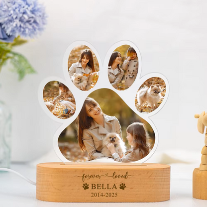 Wyspa Wspomnień™ - Łapka Wspomnień