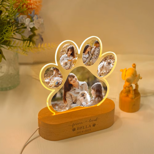 Wyspa Wspomnień™ - Łapka Wspomnień