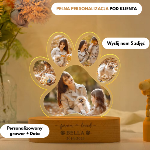 Wyspa Wspomnień™ - Łapka Wspomnień