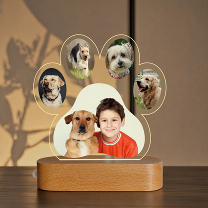 Wyspa Wspomnień™ - Łapka Wspomnień